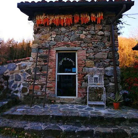 Paneolio Apartment Villa Collemandina