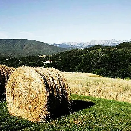 Paneolio Villa Collemandina