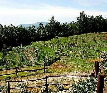 Paneolio Apartment Villa Collemandina