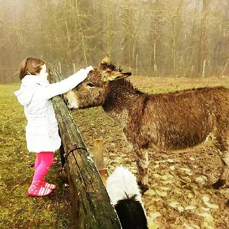 Paneolio Apartment *