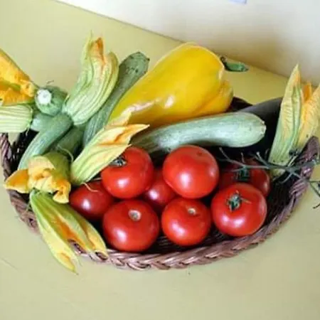 Apartment Paneolio Villa Collemandina