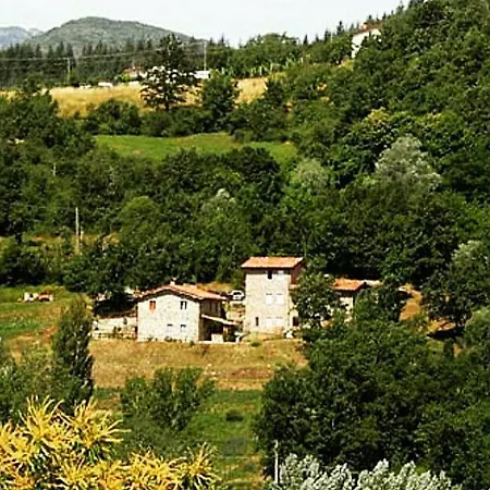 Paneolio Apartment Villa Collemandina