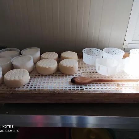 Apartment Paneolio Villa Collemandina