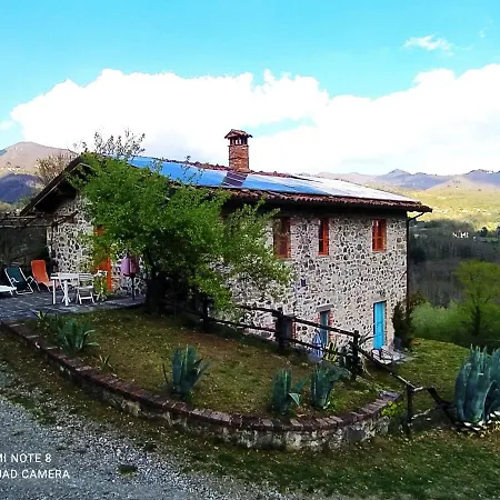 Paneolio Villa Collemandina