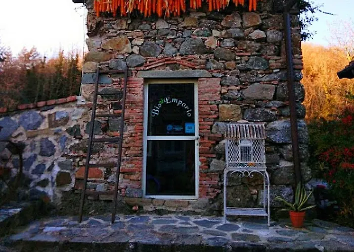 Paneolio Daire Villa Collemandina