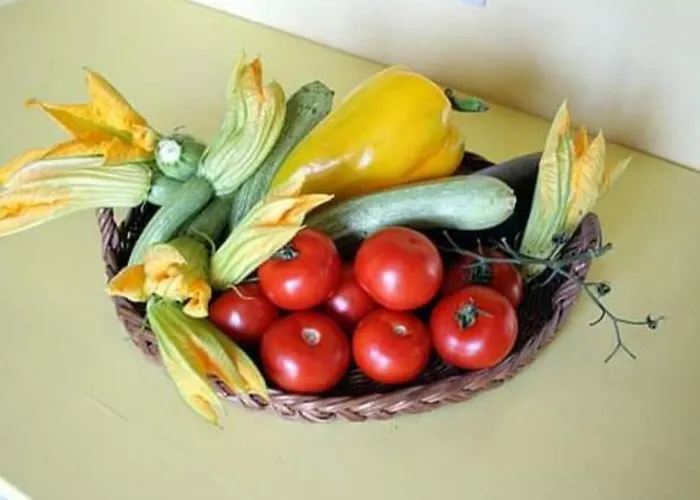 Daire Paneolio Villa Collemandina