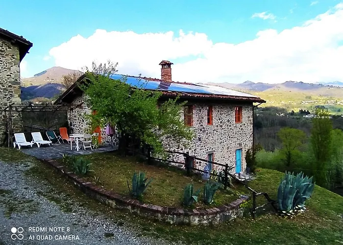 Paneolio Villa Collemandina